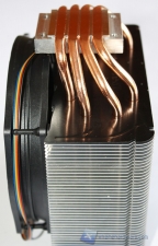 Thermolab Trinity_26